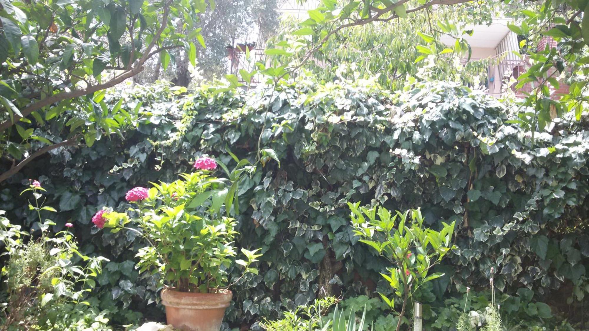 טרוגיר Apartments Salona חדר תמונה