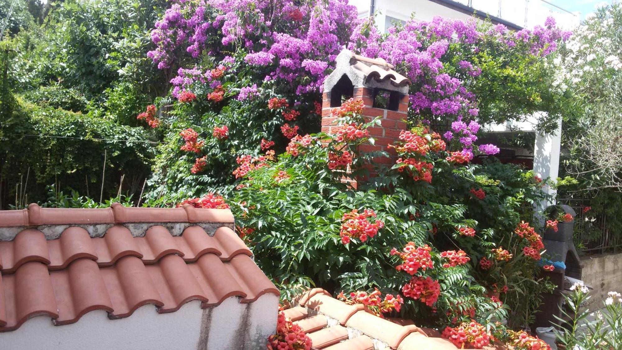 טרוגיר Apartments Salona חדר תמונה