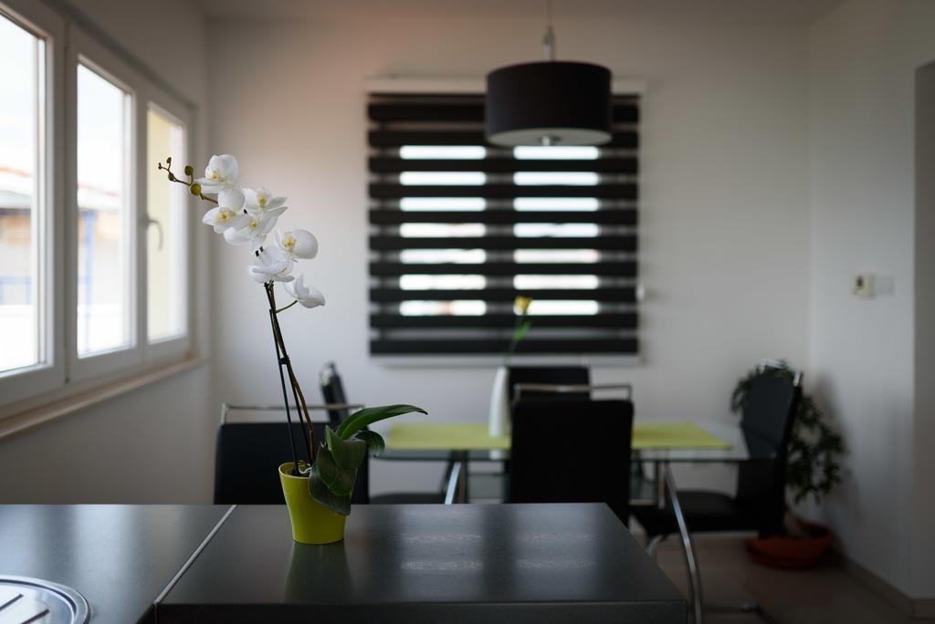 טרוגיר Apartments Salona מראה חיצוני תמונה
